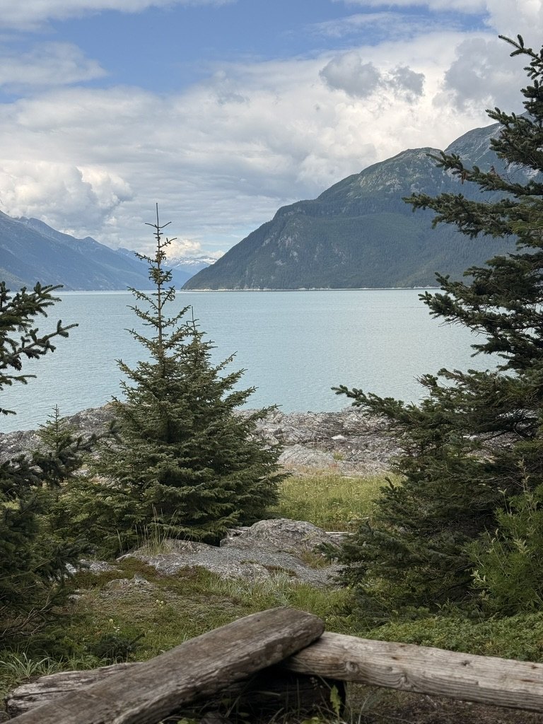 A sheltered inlet framed by young spruce, steep green mountains rising straight out of pale blue water.